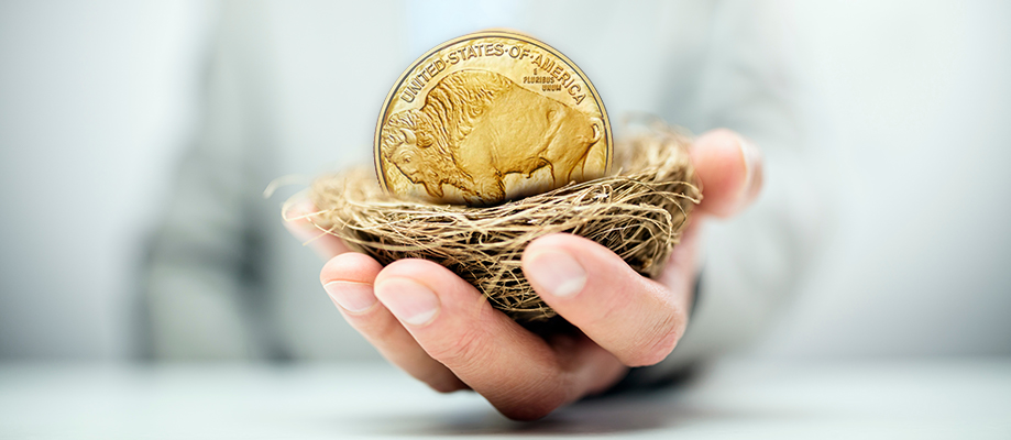 What is a Precious Metals IRA?